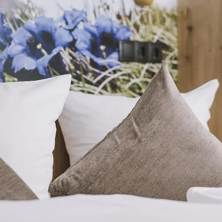 Apartment Enzian By Interhome